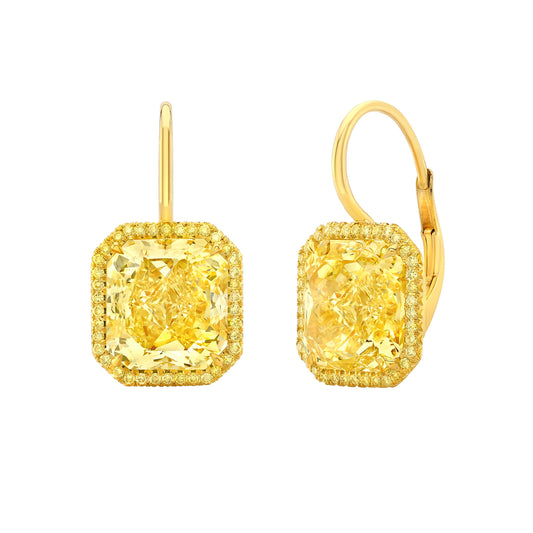 Halo Drop Earrings IP8088RA